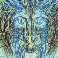 Lynx Community
